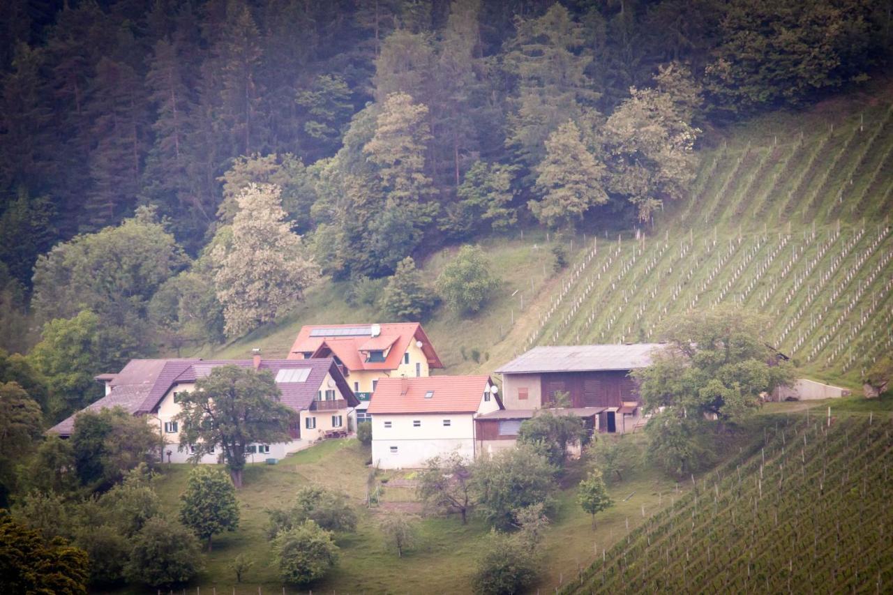 Weinbau Pronegg Vlg. Krainz Apartment Leutschach Exterior photo